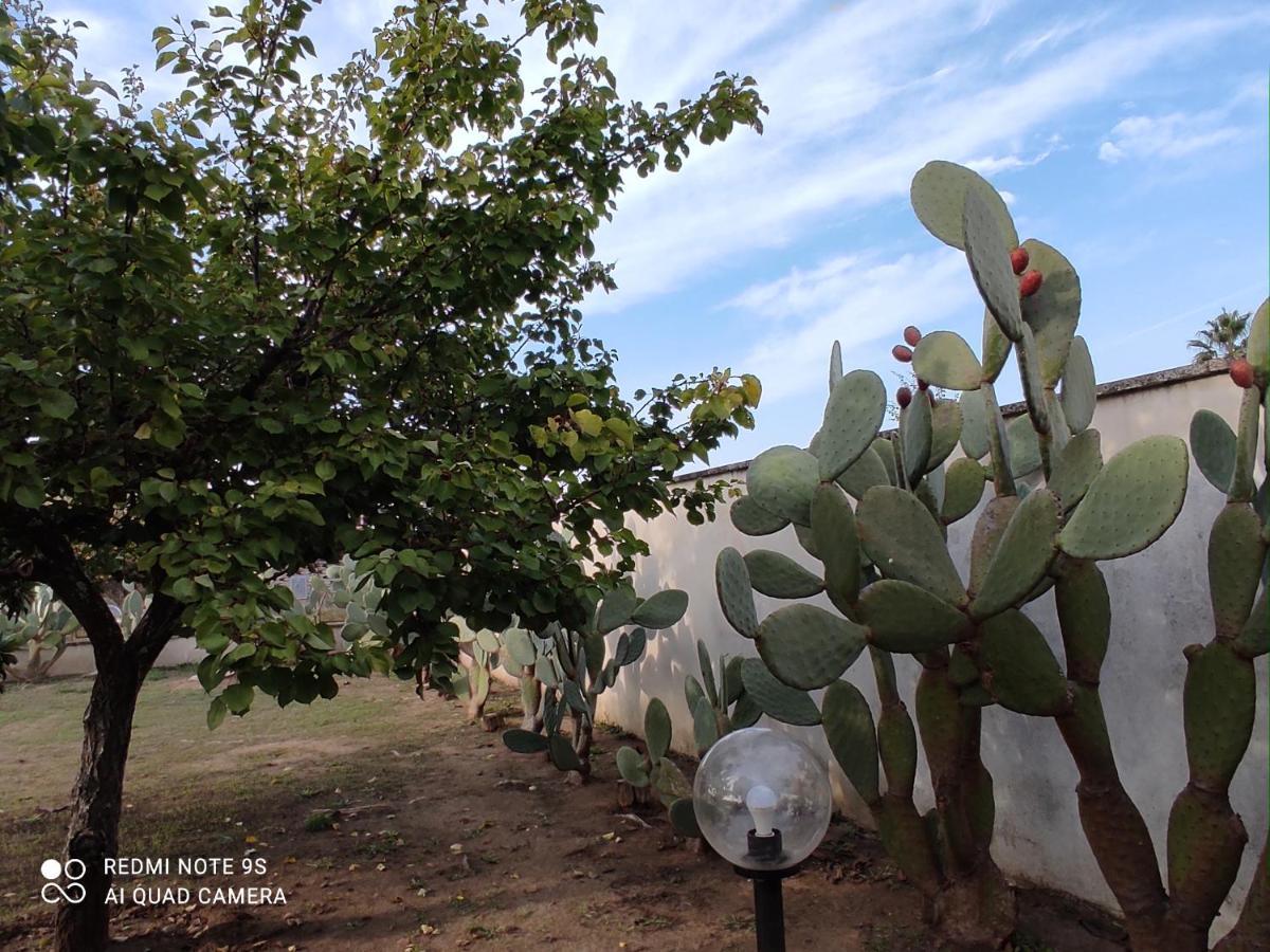 Villa Aristogatti ซานเปียโตรแวร์โนติโค ภายนอก รูปภาพ